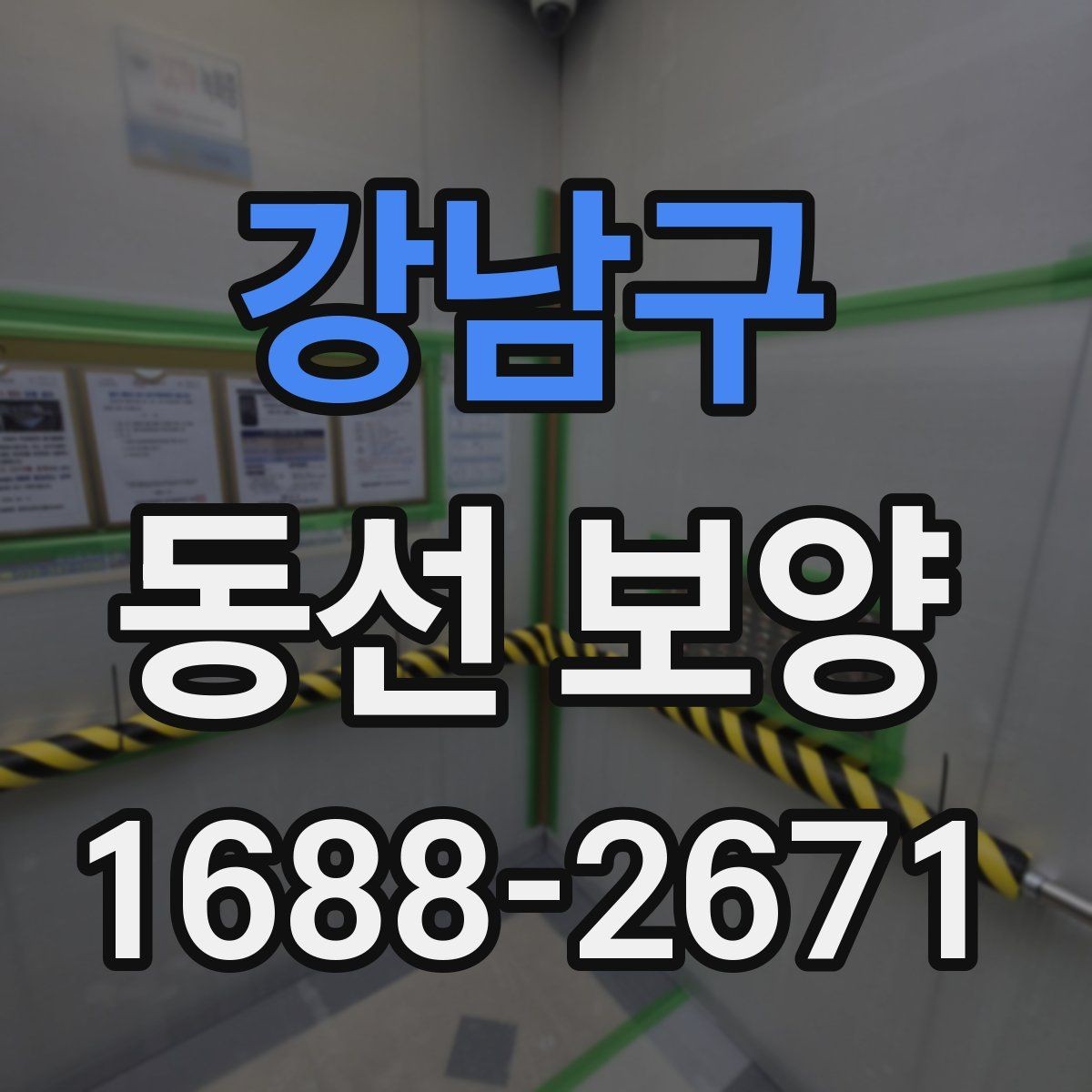 강남구 동선 보양 작업 시간과 일정 잡는 법