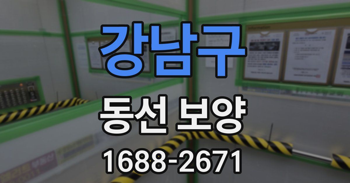 강남구 동선 보양