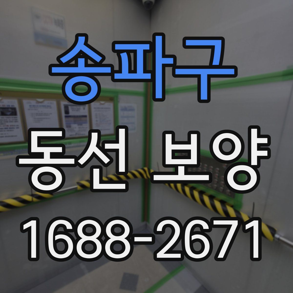 송파구 동선 보양