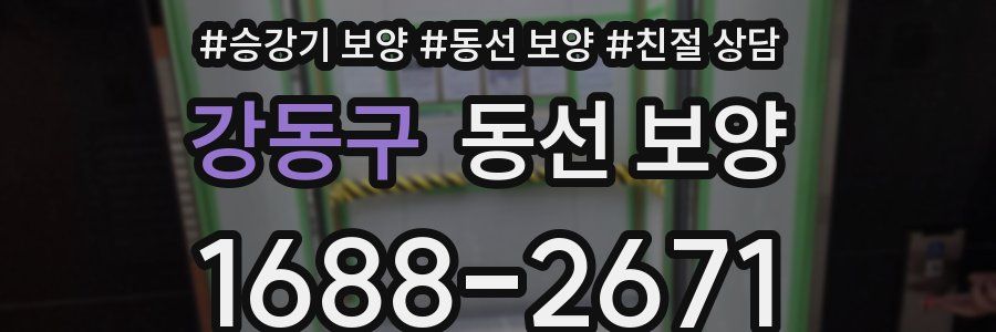강동구 동선 보양