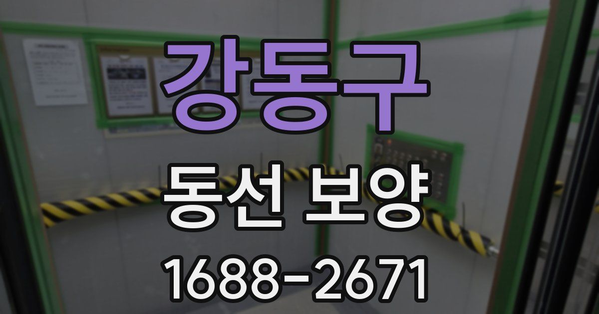 강동구 동선 보양