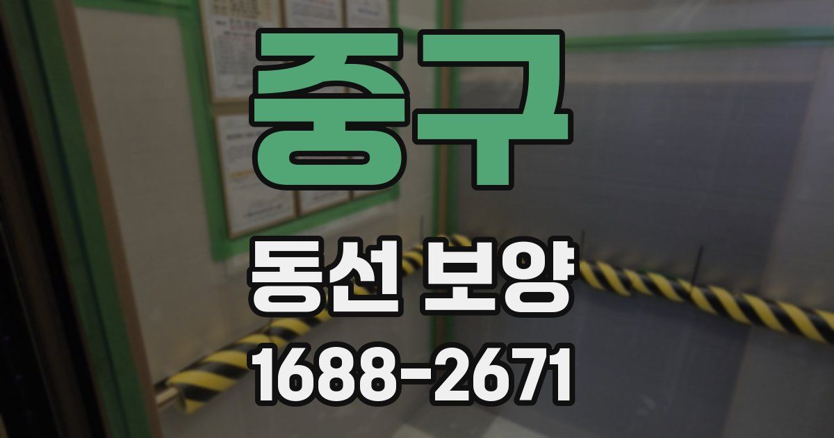중구 동선 보양