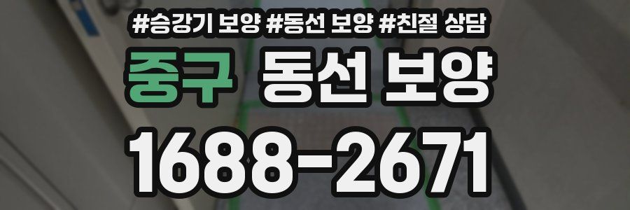 중구 동선 보양
