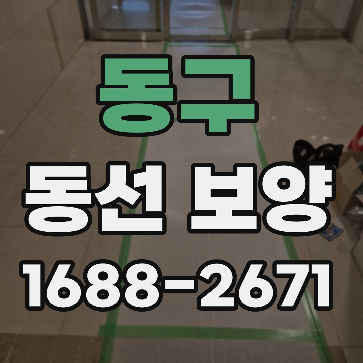 동구 동선 보양 비용은 무엇에 따라 달라질까