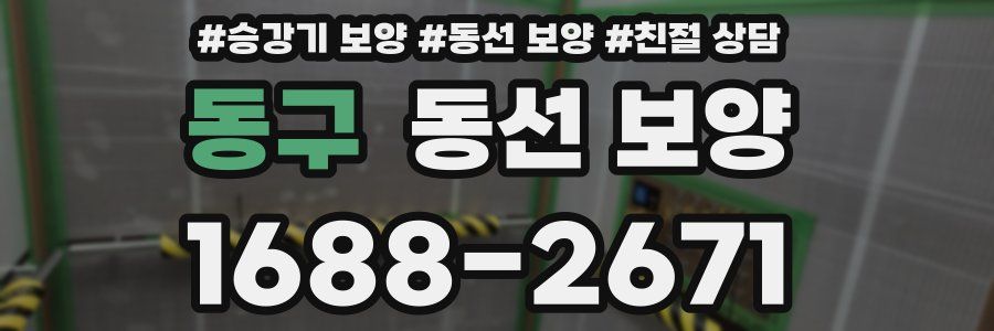 동구 동선 보양