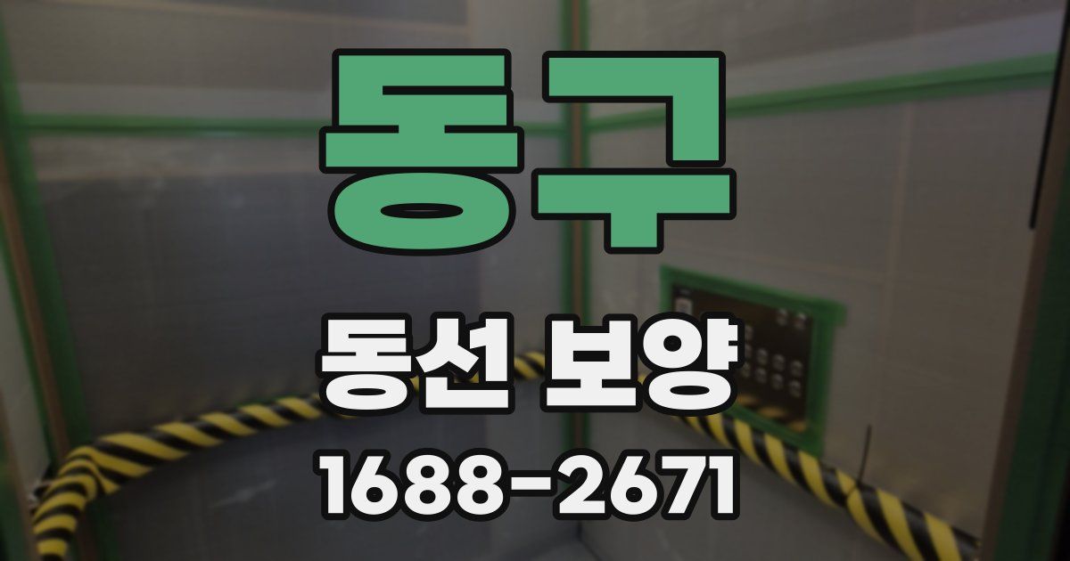 동구 동선 보양