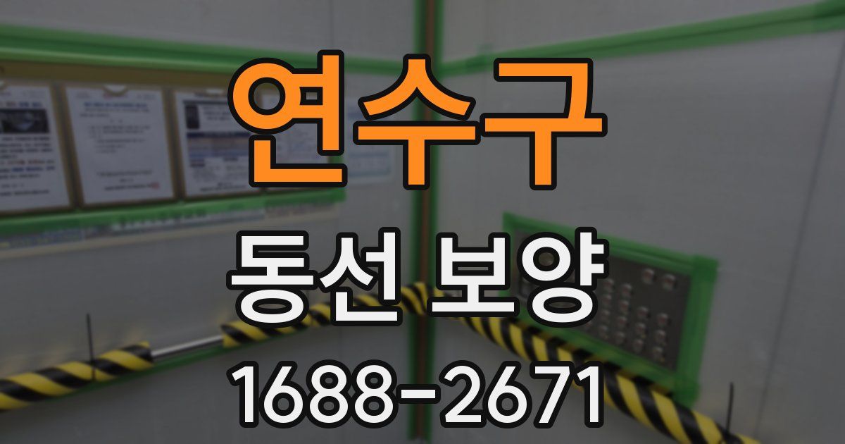 연수구 동선 보양