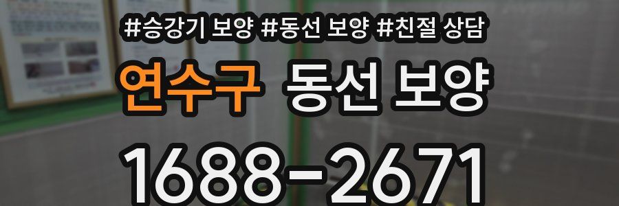 연수구 동선 보양