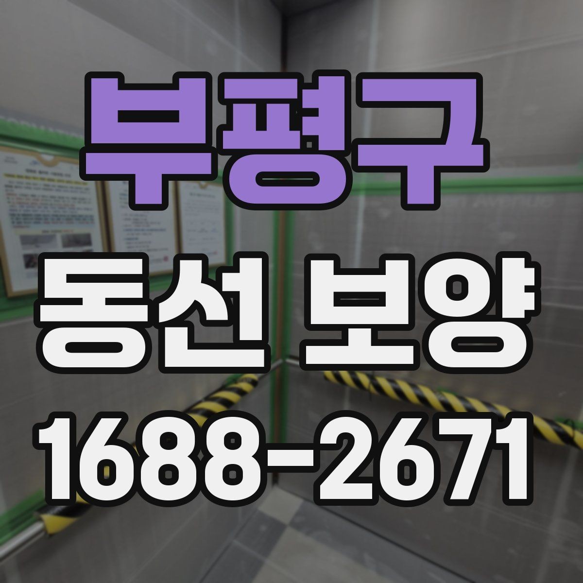 부평구 동선 보양 비교 시 살펴봐야 할 차이점