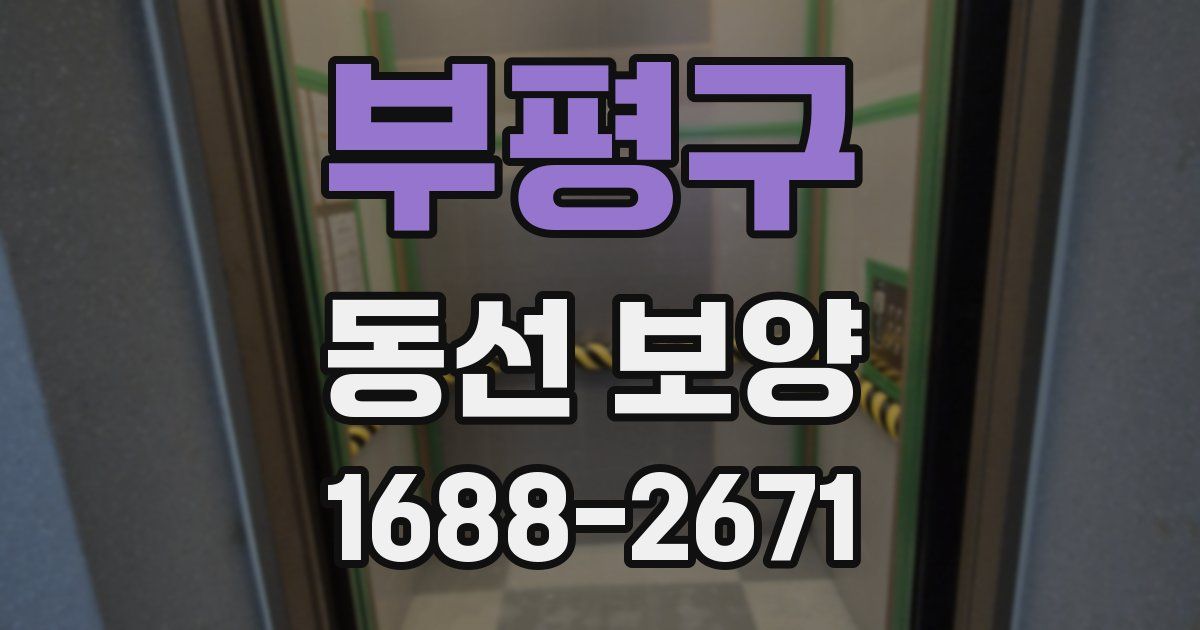 부평구 동선 보양