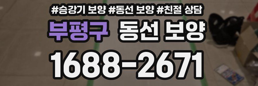 부평구 동선 보양