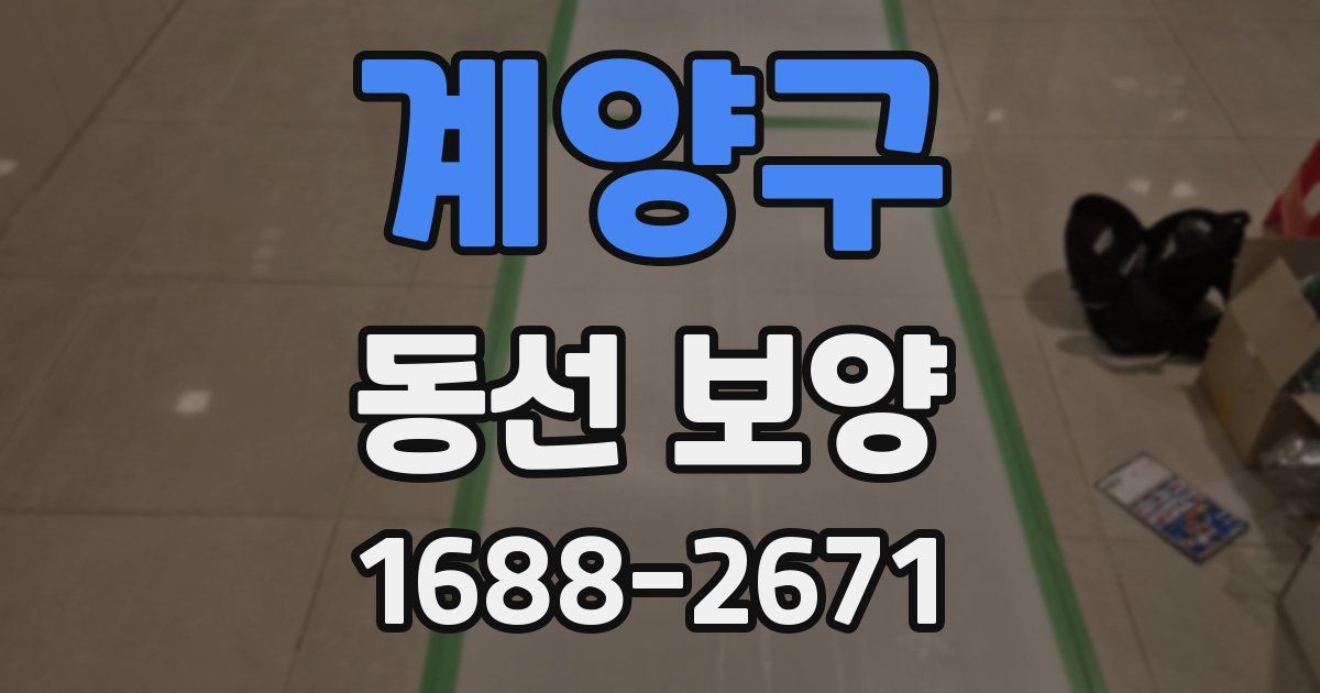 계양구 동선 보양