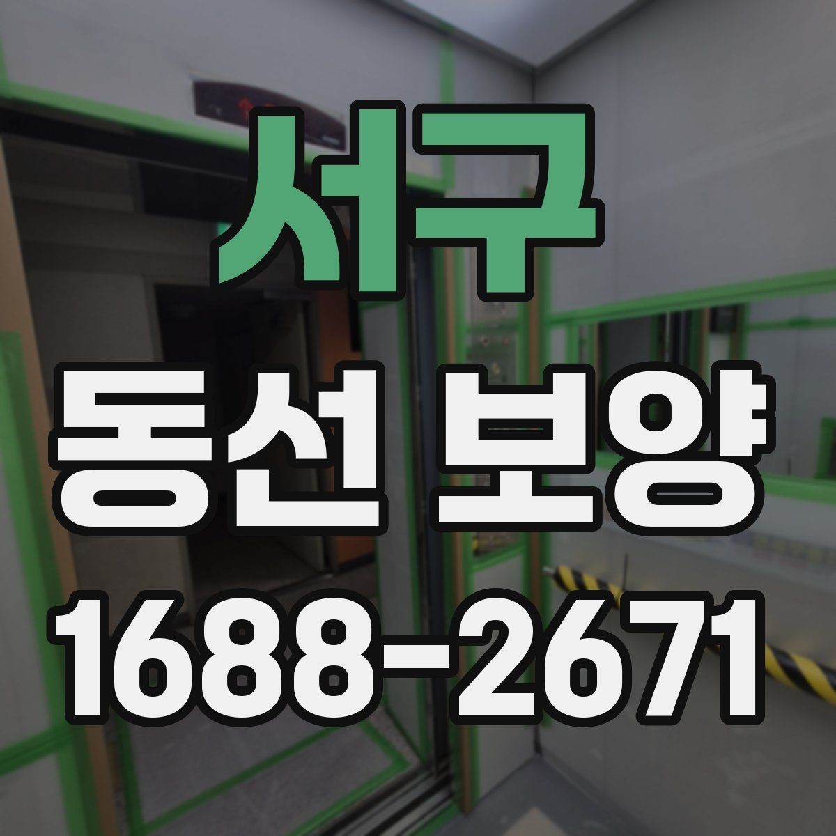 서구 동선 보양 작업 전후 비교로 보는 변화