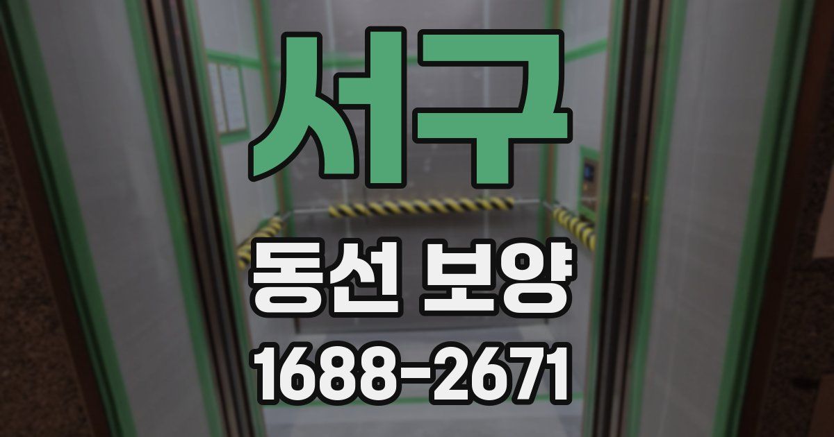 서구 동선 보양