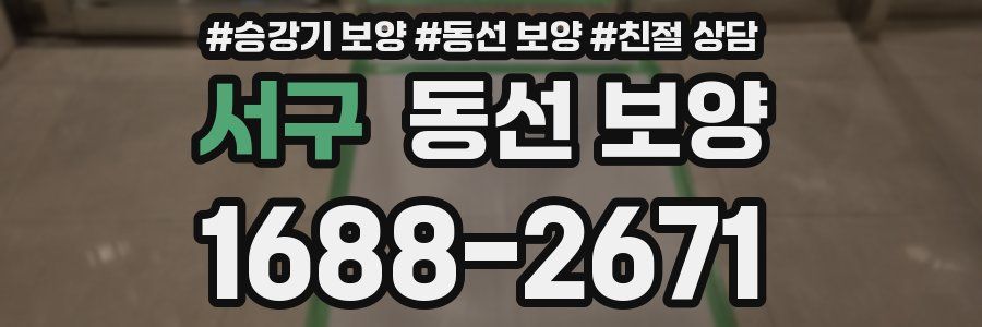 서구 동선 보양