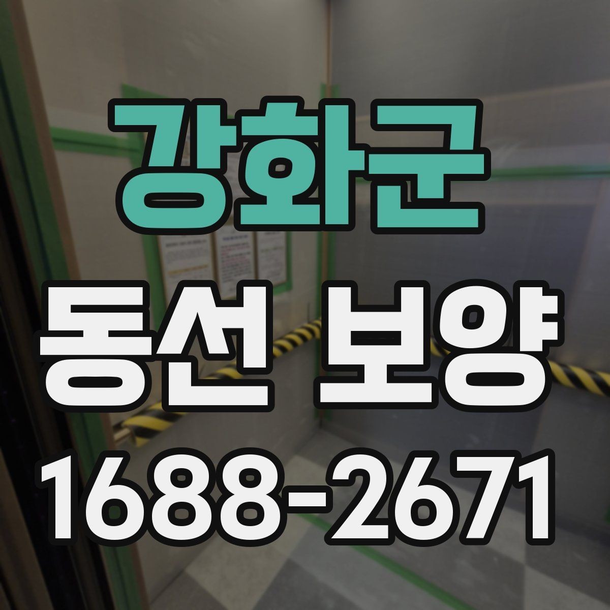 강화군 동선 보양 현장에서 주의할 점 정리