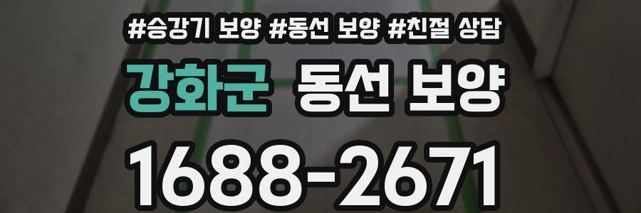 강화군 동선 보양