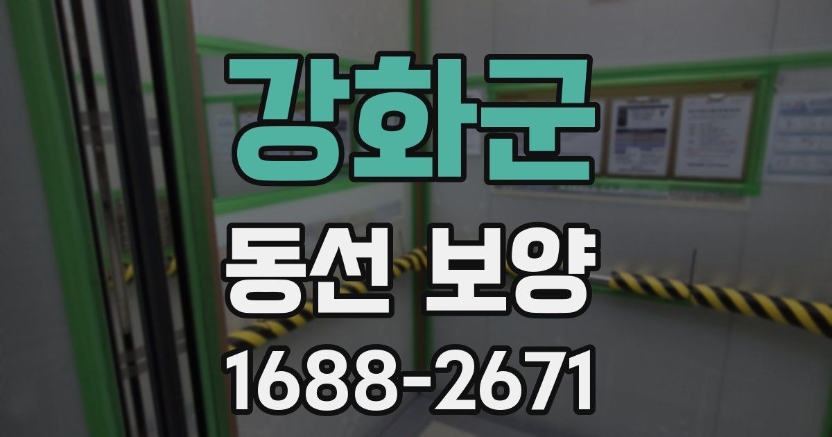 강화군 동선 보양
