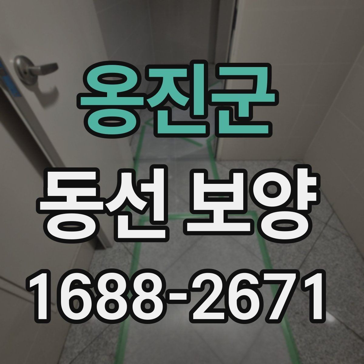 옹진군 동선 보양 대상 구간을 정하는 기준