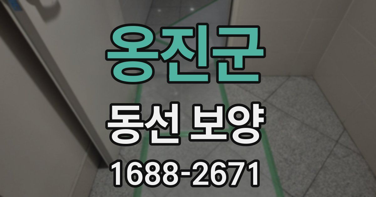 옹진군 동선 보양