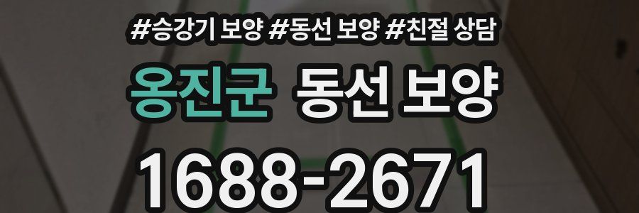 옹진군 동선 보양