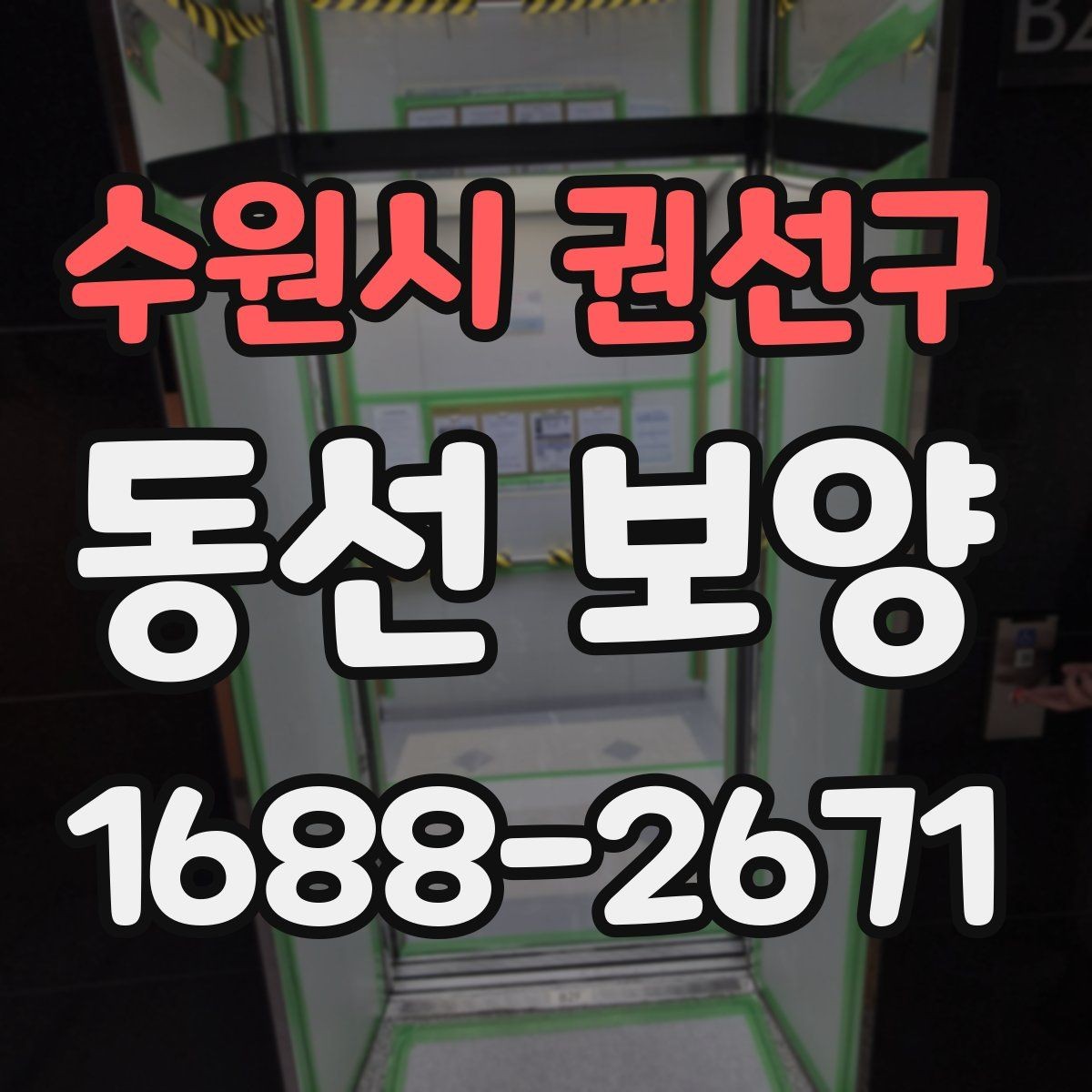 수원시 권선구 동선 보양 방법을 상황별로 나누어 보기