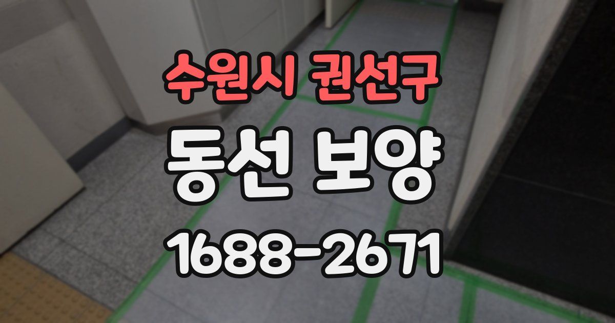 수원시 권선구 동선 보양