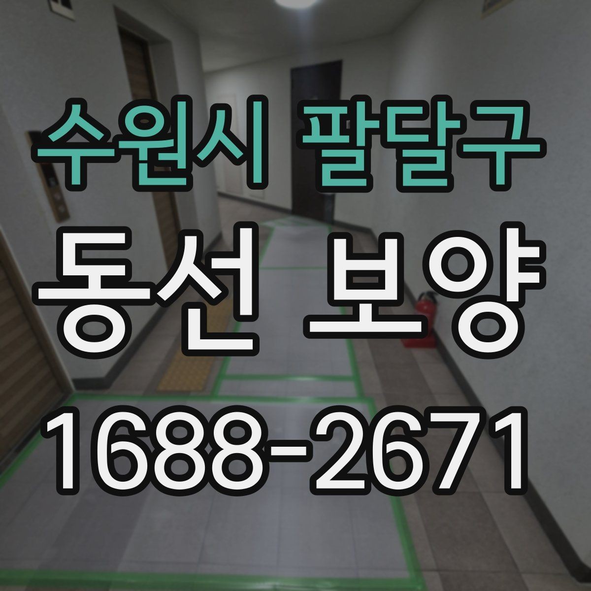 수원시 팔달구 동선 보양 비용을 절감할 때 주의할 점