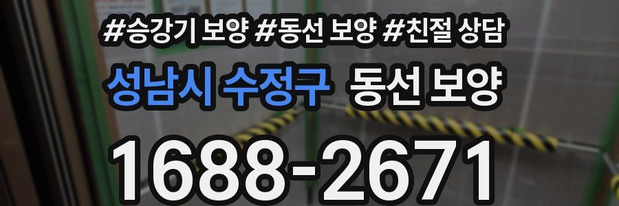 성남시 수정구 동선 보양