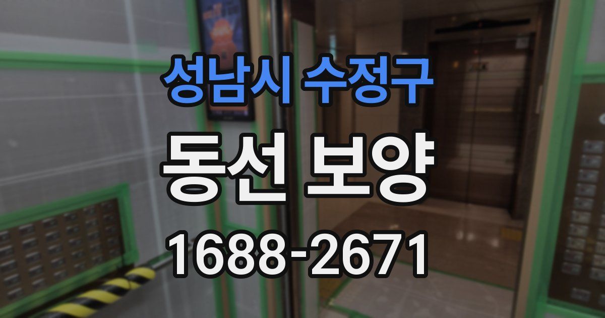 성남시 수정구 동선 보양