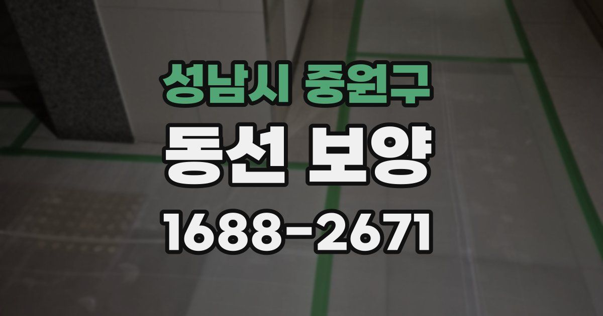 성남시 중원구 동선 보양