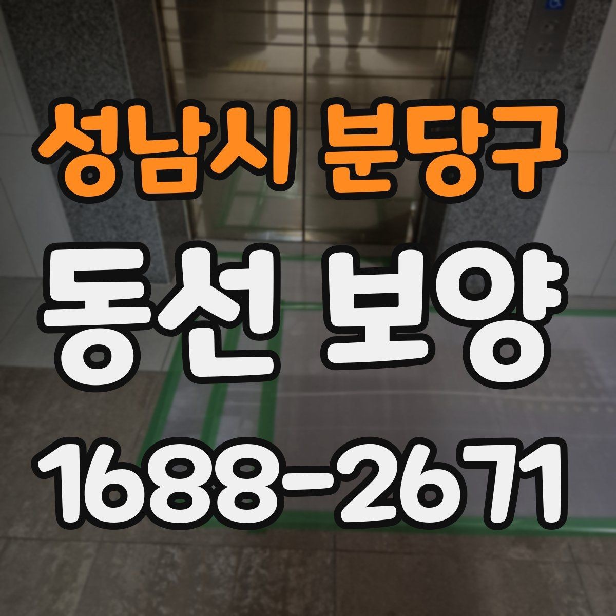 성남시 분당구 동선 보양 작업에서 흔히 발생하는 문제