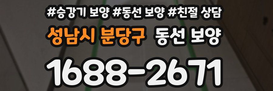성남시 분당구 동선 보양