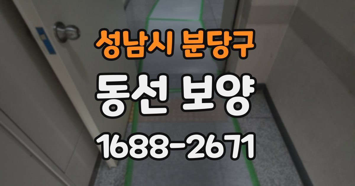 성남시 분당구 동선 보양