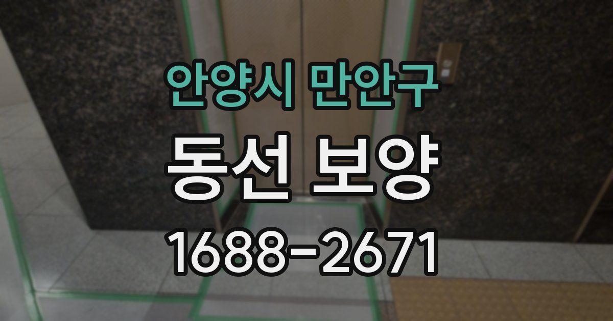 안양시 만안구 동선 보양