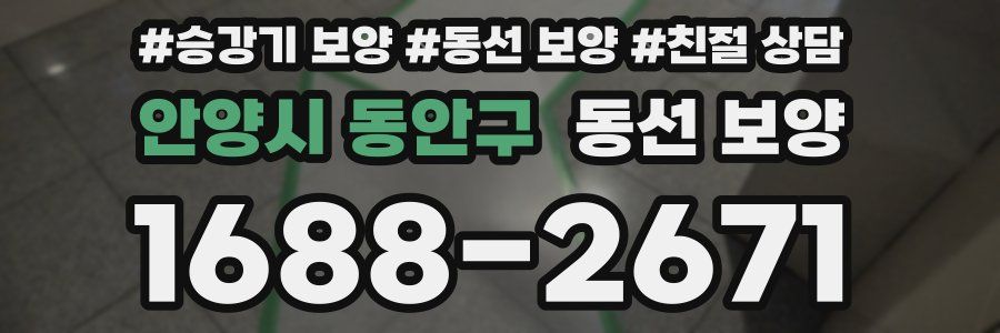 안양시 동안구 동선 보양