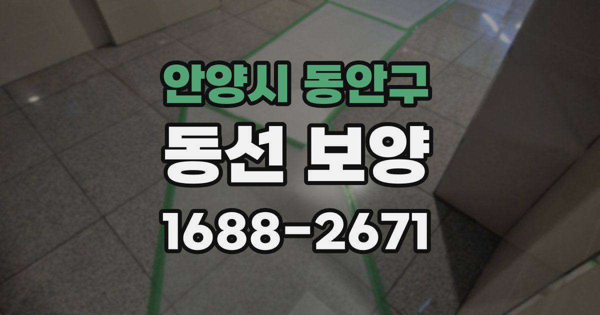 안양시 동안구 동선 보양