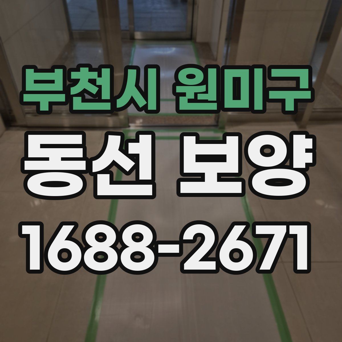 부천시 원미구 동선 보양 작업 후 관리 방법 안내
