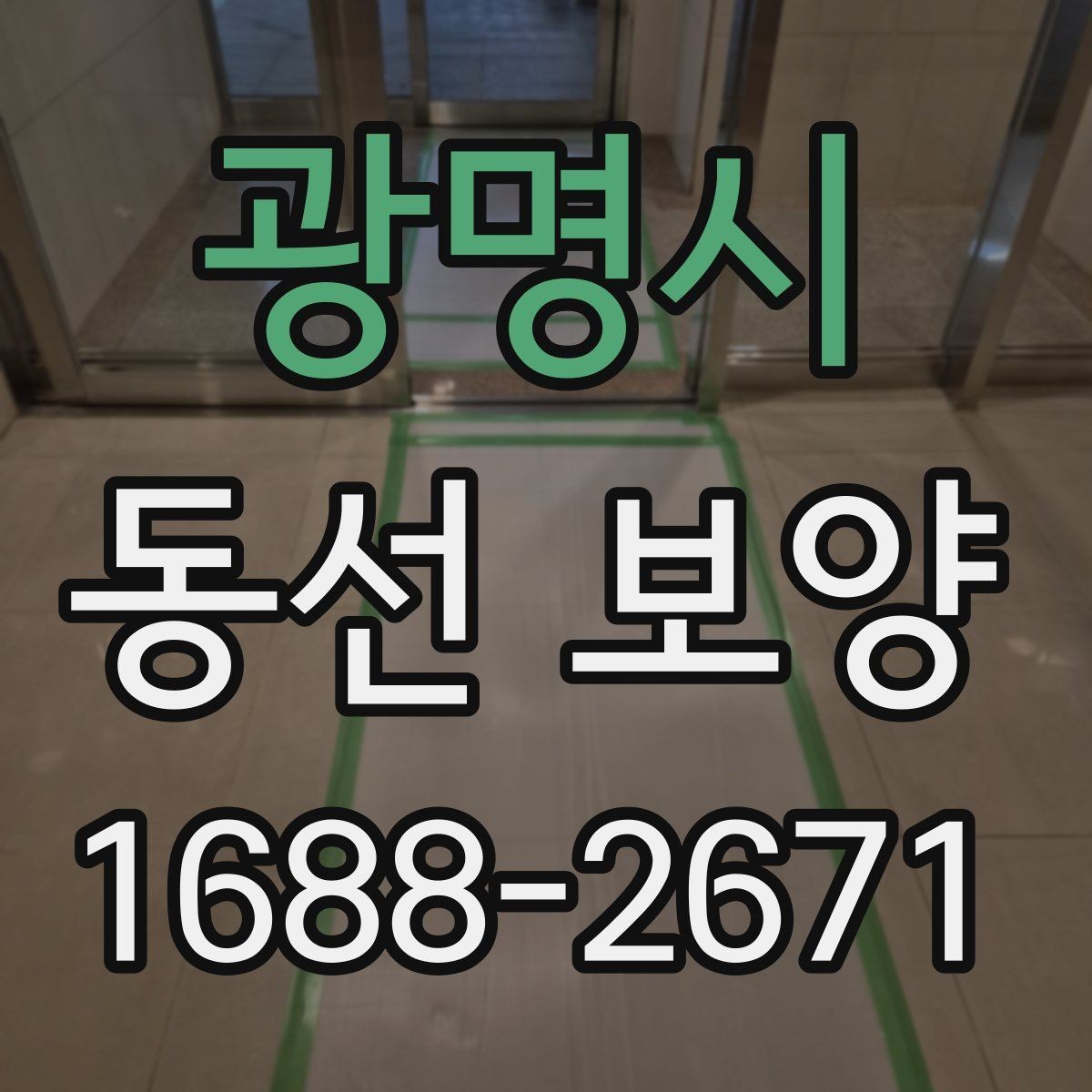 광명시 동선 보양 작업에서 품질 차이를 만드는 요인