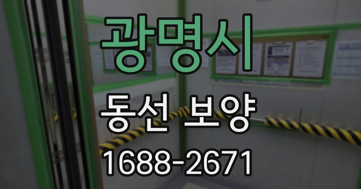 광명시 동선 보양