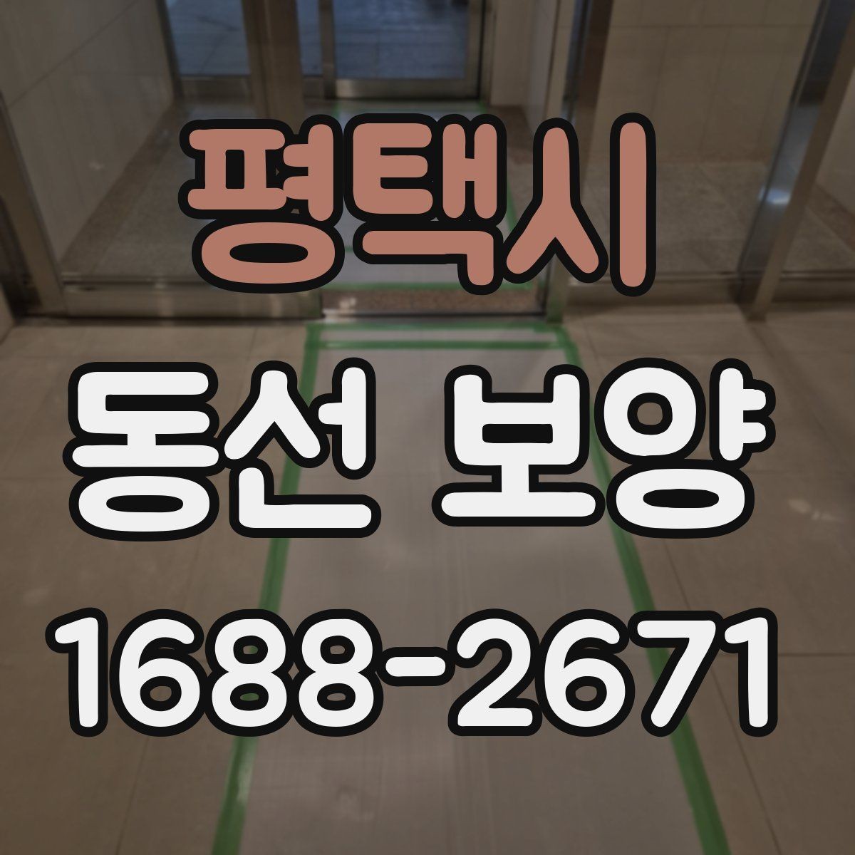 평택시 동선 보양 비용 산정에 영향을 주는 요소
