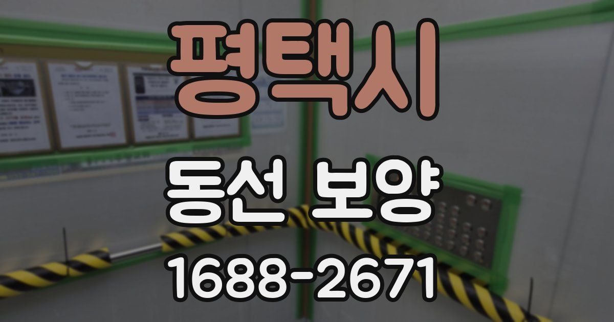평택시 동선 보양