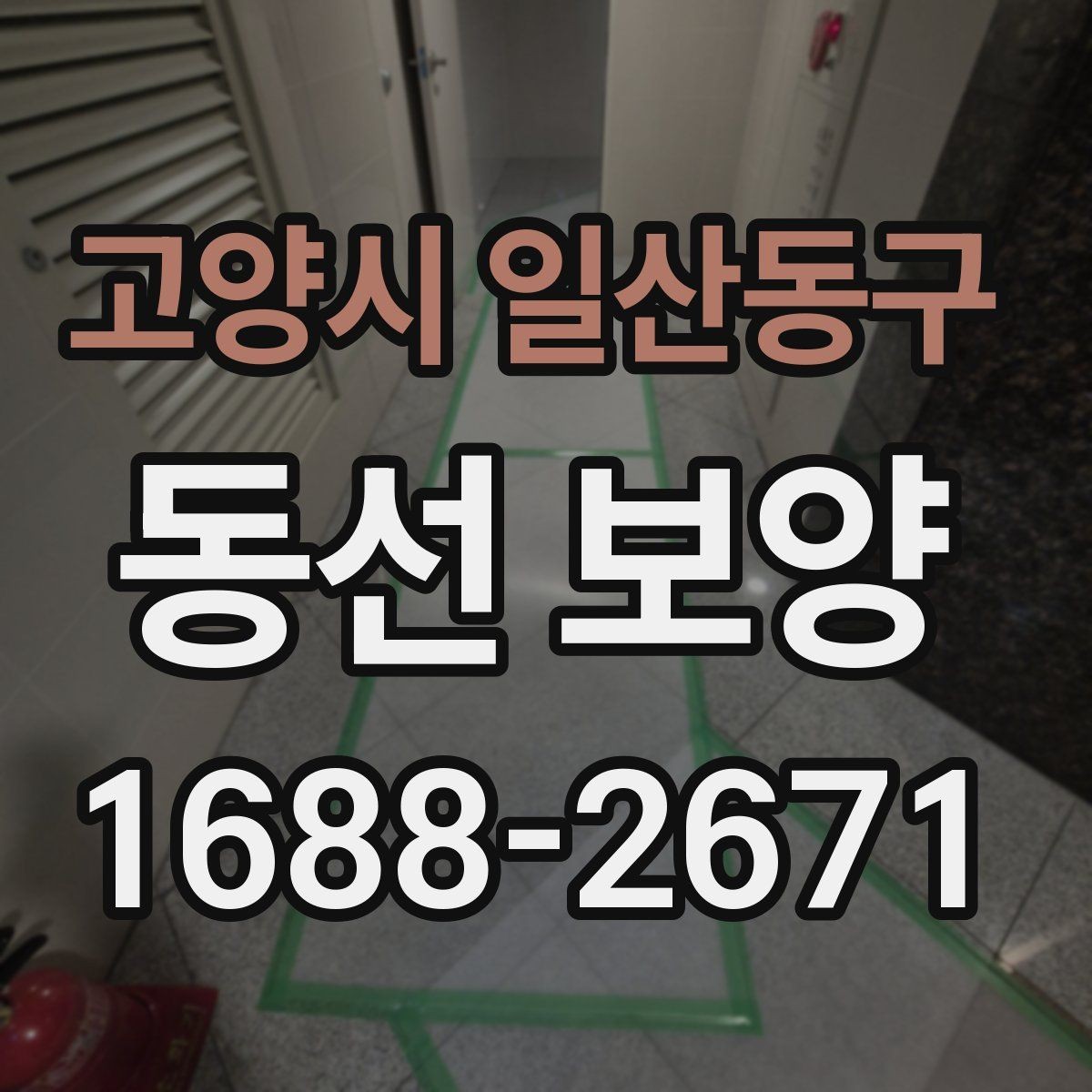 고양시 일산동구 동선 보양 시공 사례로 보는 준비 포인트