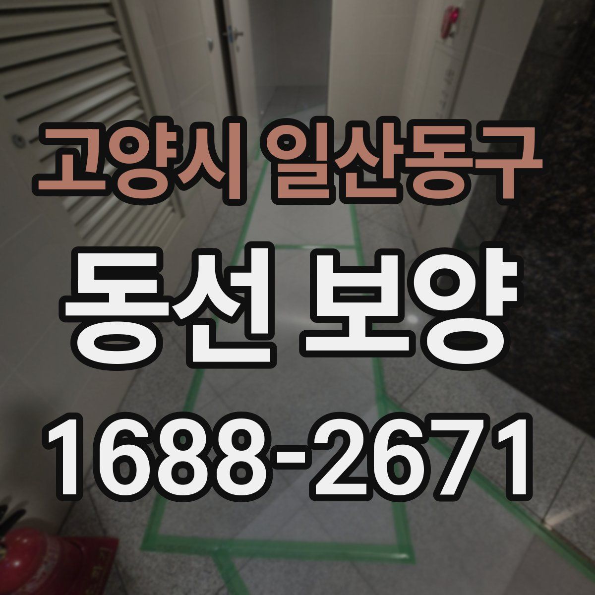 고양시 일산동구 동선 보양