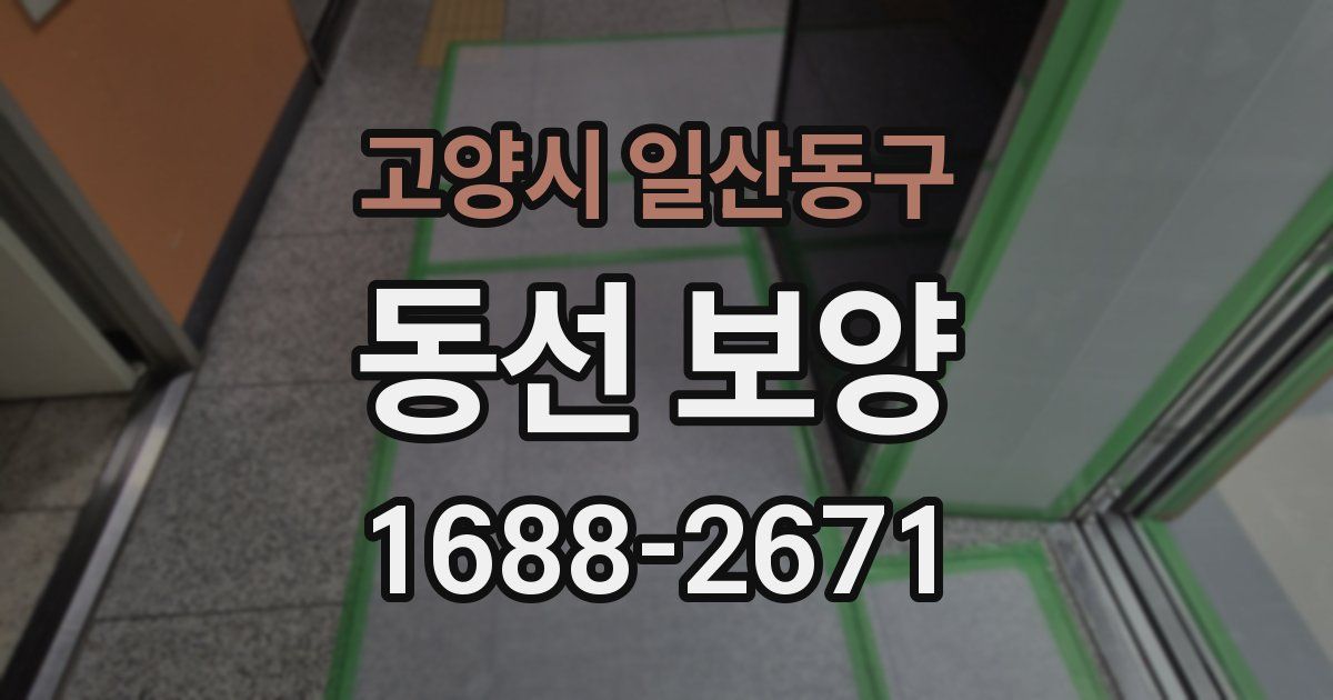 고양시 일산동구 동선 보양