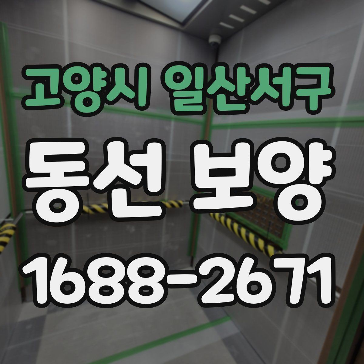고양시 일산서구 동선 보양 시 흔히 놓치는 부분들