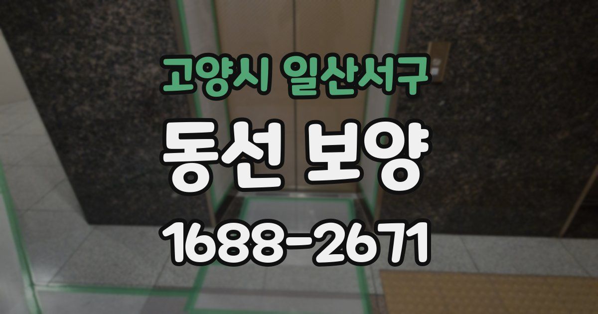 고양시 일산서구 동선 보양