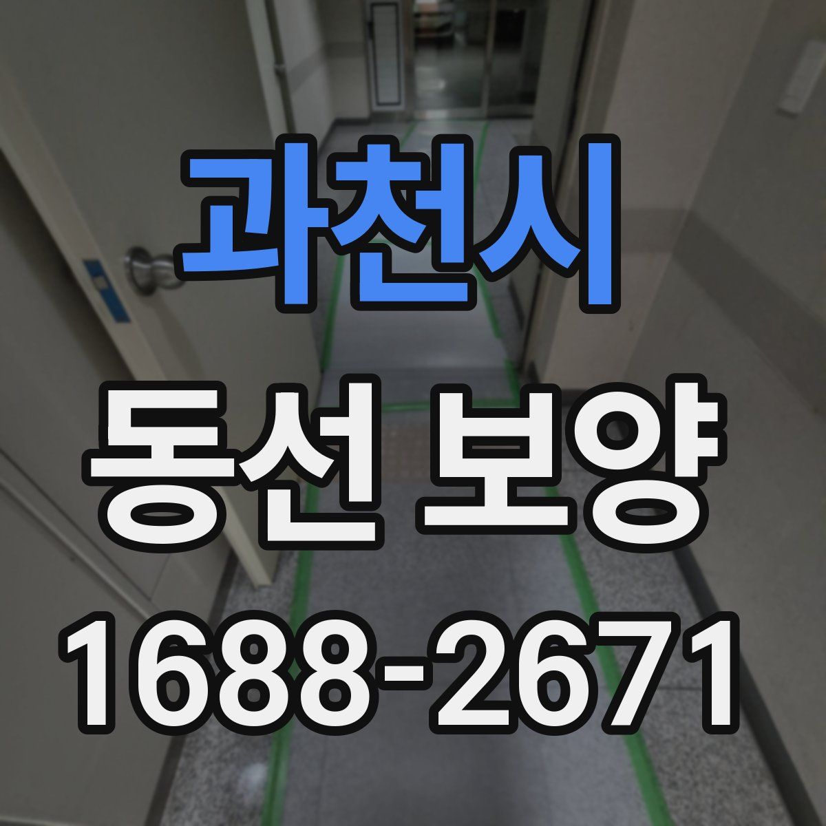 과천시 동선 보양