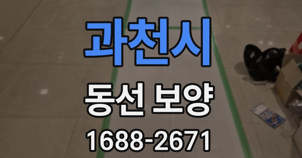과천시 동선 보양