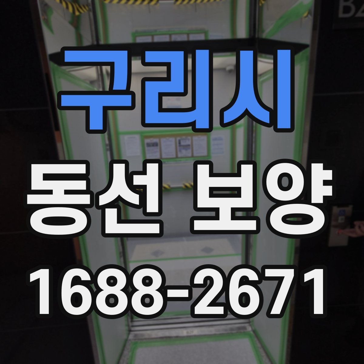 구리시 동선 보양